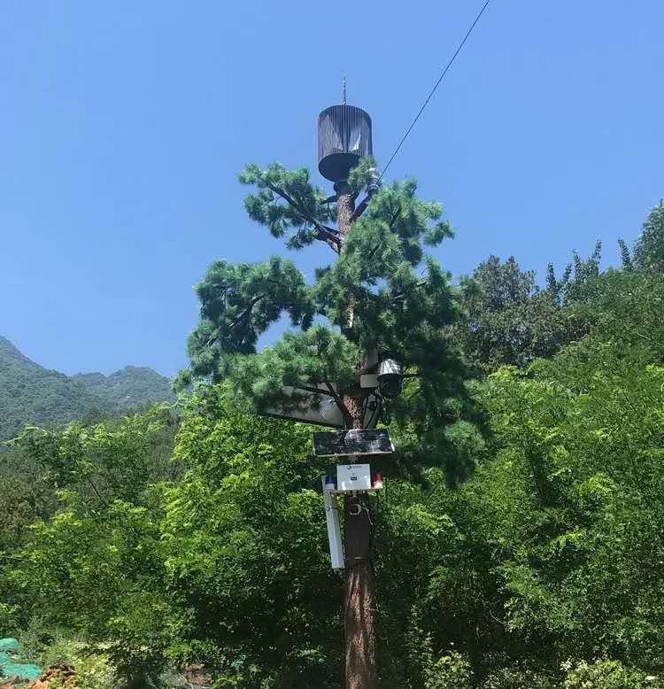 大港澳53040新版苹果手机